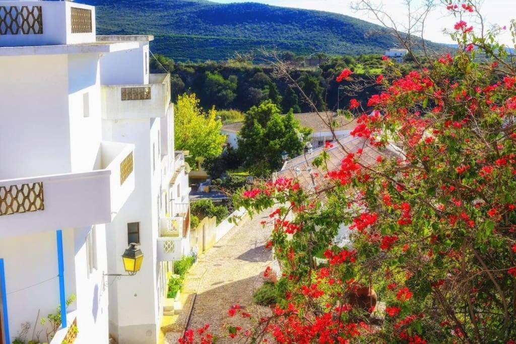 Casa Cecilia Apartment Algarve アルテ エクステリア 写真